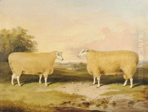 Two Prize Leicester Rams, Standing Beside Trees Two Prize Leicester Rams, Standing Beside Trees