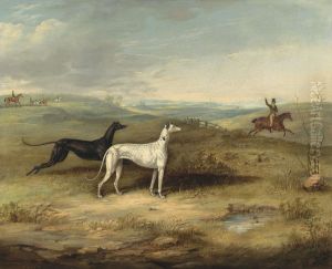 Hare Coursing - Two Greyhounds With A Distant Rider by Thomas W. Bretland