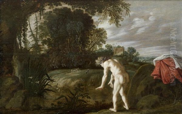 Narcissus - view 1