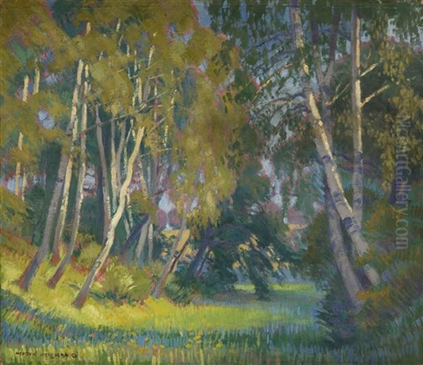 Landscape - view 1