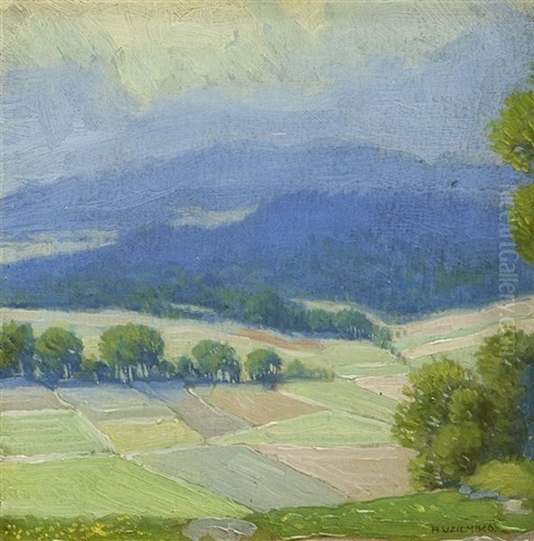 Pejzaz Z Polami - view 1