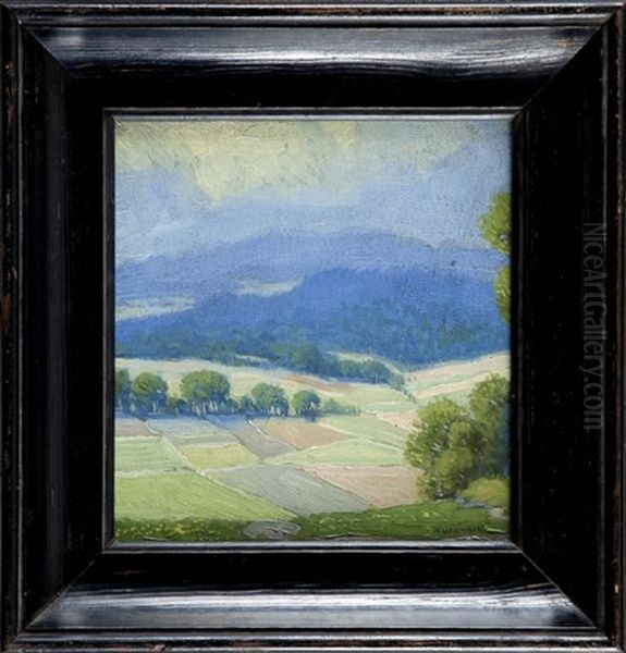 Pejzaz Sloneczny - view 1