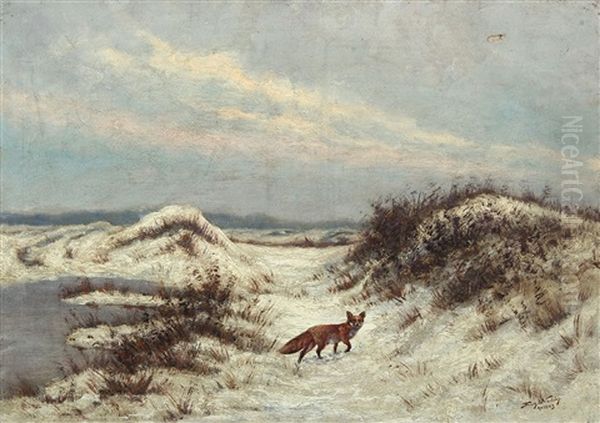 A Fox In A Winter Landscape - view 1