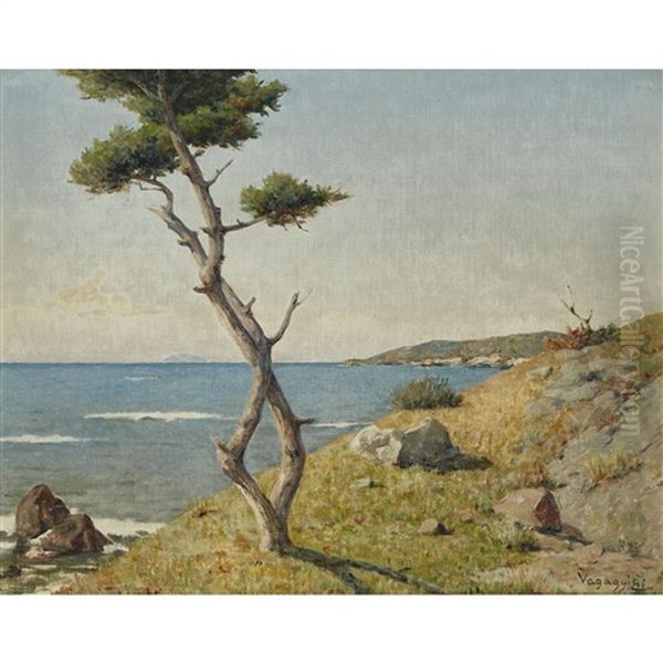 Marine Near Quercianalla - view 1