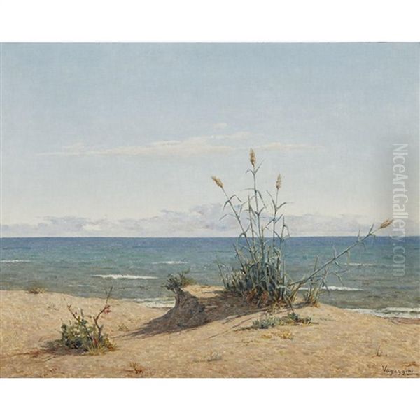 Donoratico - view 1