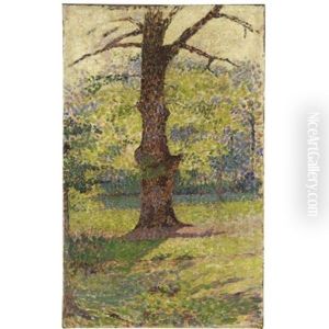 Paesaggio Paesaggio