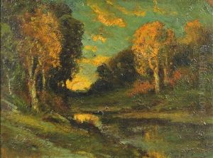 Sunset Through The Woods