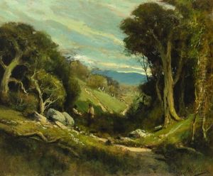 Figure Walking Through A Sunlit Path Through Rollling Hills