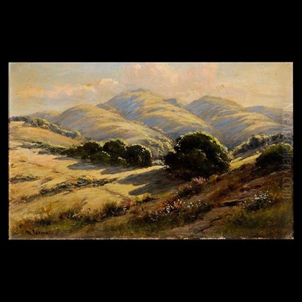 California Rolling Hills - view 1