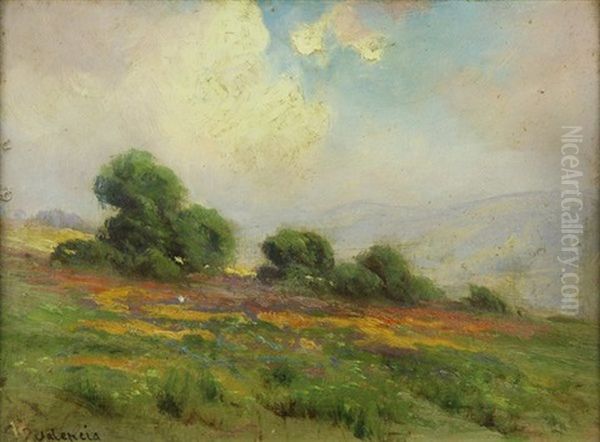 Mountain Vista With Field Of Poppies And Lupine - view 1