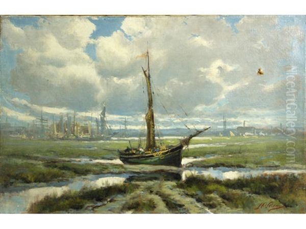 Ship In Shallow Waters - view 1