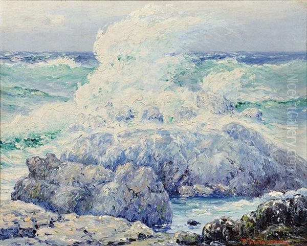Waves On A Rocky Coast - view 1
