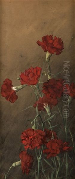 Red Carnations - view 1