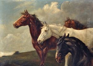 The White Lady Of The Uplands