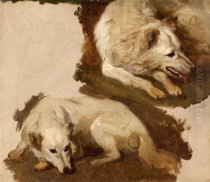 Etude De Chiens : Deux Bergers Blancs Suisses Etude De Chiens : Deux Bergers Blancs Suisses