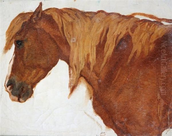 Portrait De Cheval - view 1