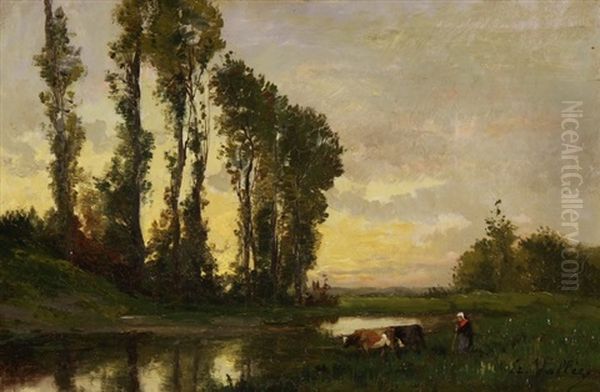 Baumbestandene Flusslandschaft - view 1