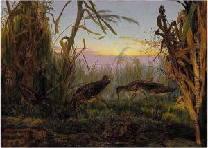 Snipe by Rosa Brett