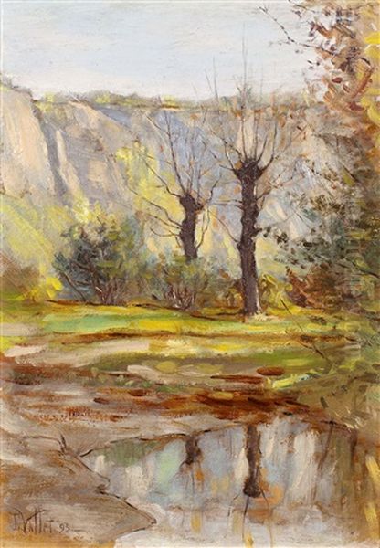 Arbres Et Falaises - view 1