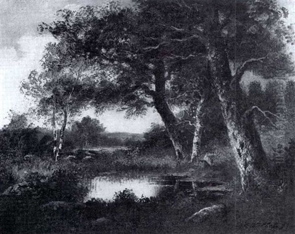 Foret De Fontainebleau - view 1