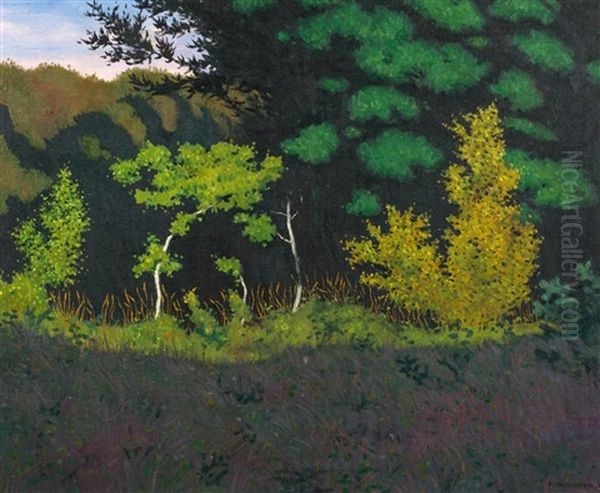 Lisiere De Foret - view 1
