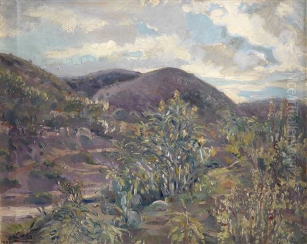 Paisaje - view 1