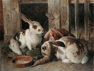 Three Rabbits By A Hutch by Frederick E. Valter