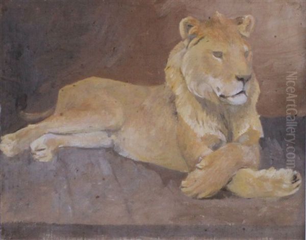 Etude De Lion Couche - view 1