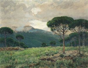 Paisaje Paisaje