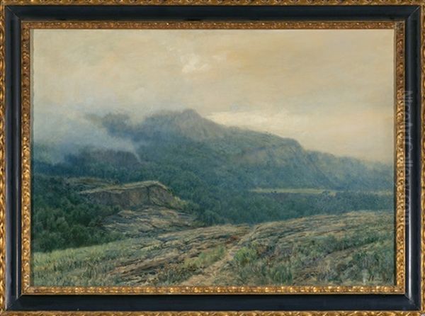Paisaje - view 1