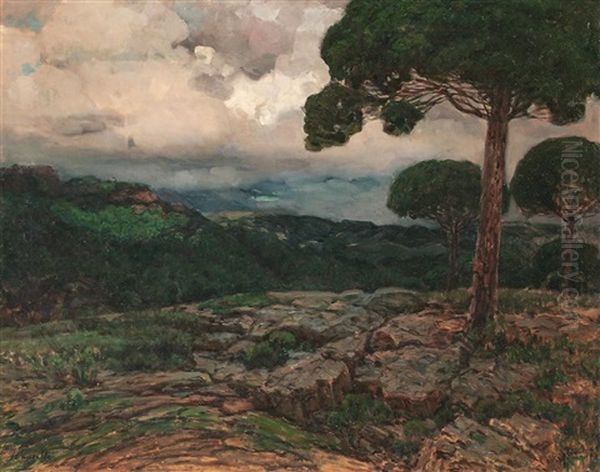 Pinar - view 1