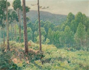 Bosque