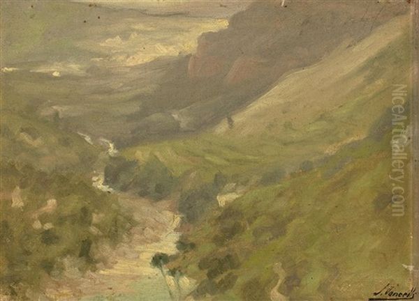 Paisaje - view 1