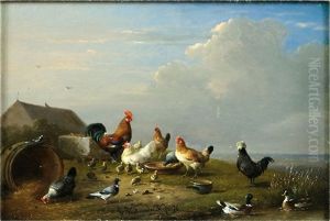 Barnyard Fowl by Francois Vandercerdonck