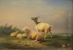Sheep And Goat In Pasture by Francois Vandeverdonck