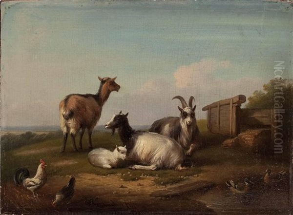 Landschaftsidylle Mit Rastenden Ziegen, Huhner Und Enten - view 1