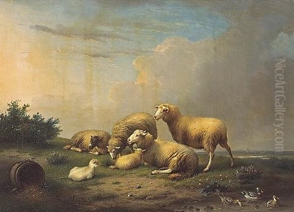 Sheep And Ducks In An Extensive Landscape - view 1