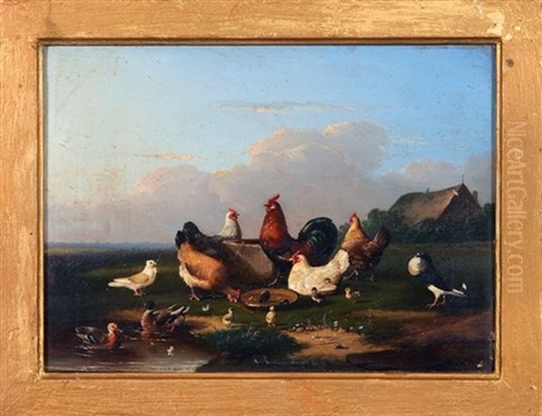 Chickens, Ducks, And Pigeons, With Thatch-roof Building In Background - view 1