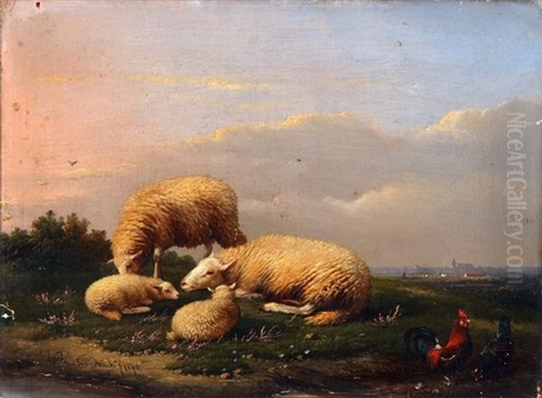 Sheep And Chickens, With Town In Distant Background - view 1