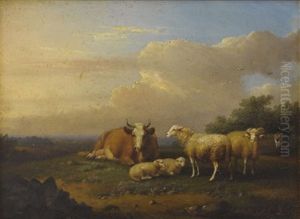 Sheep And Cow Sheep And Cow