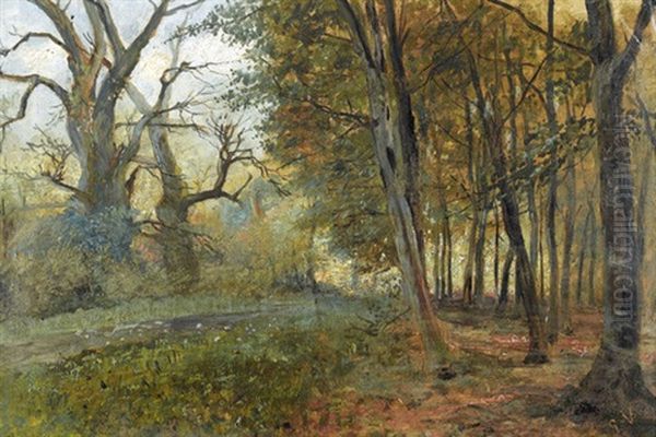 Landschaftspartie Mit Waldrand - view 1