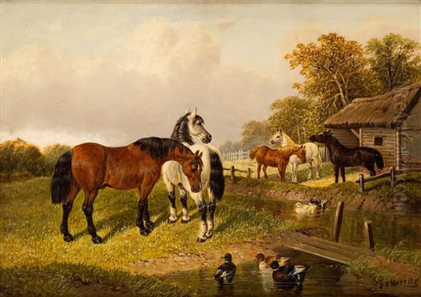 Horses By The Stables - view 1