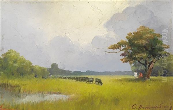 Pasture - view 1