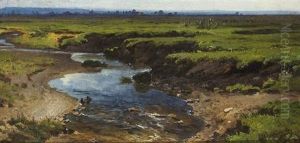 Paysage Paysage