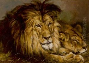 Resting Lion And Lioness by Geza Vastagh