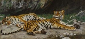 Resting Tigers by Geza Vastagh