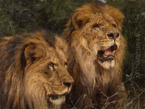 Two Lions - view 1