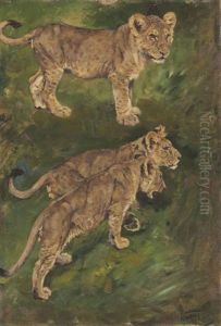 Three Lion Cubs