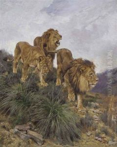 Three Lions Walking Down A Rocky Hillside