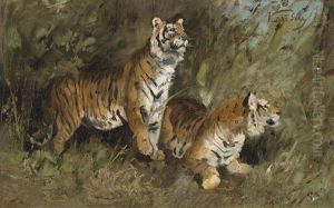 Tiger Im Hohen Gras